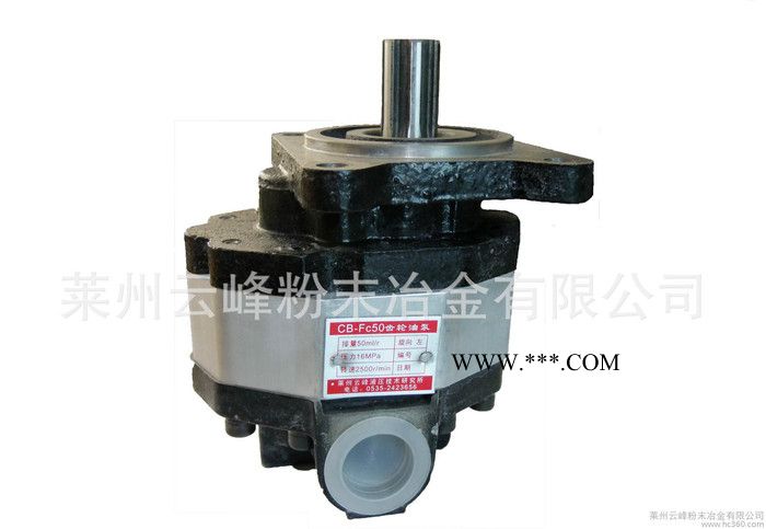 齿轮油泵|品牌齿轮油泵商图2