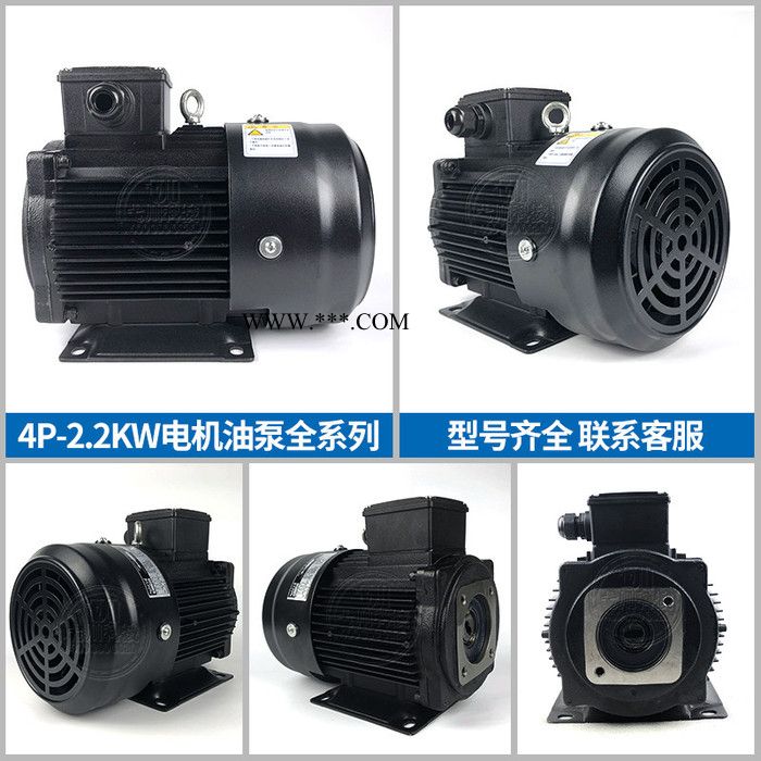 NACHI电机4P-2.2KW 电机泵组 不二越电机油泵组合UVN-1A-1A2/UPV-0A-8N图4