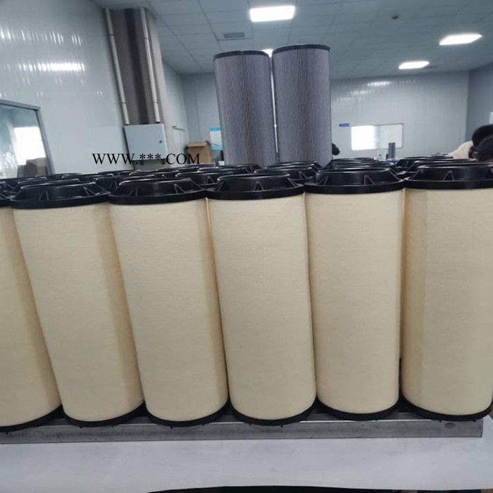2.5689.0604.99_引风机油净化精滤芯图2