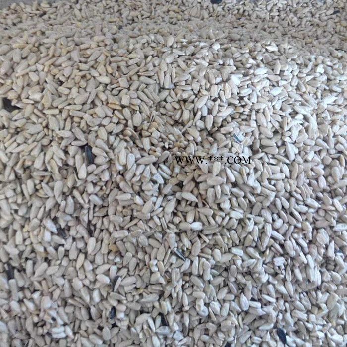 俏牌DZ-100-T 榨油葵花仁脱壳机油葵脱壳机油葵剥壳机葵花精仁脱壳机葵花脱壳机油葵剥壳机图4