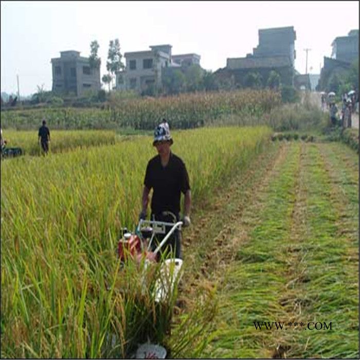 柴油稻麦割晒机平铺侧放汽油稻麦黄豆收割割捆机油菜低茬收割机 视频图4
