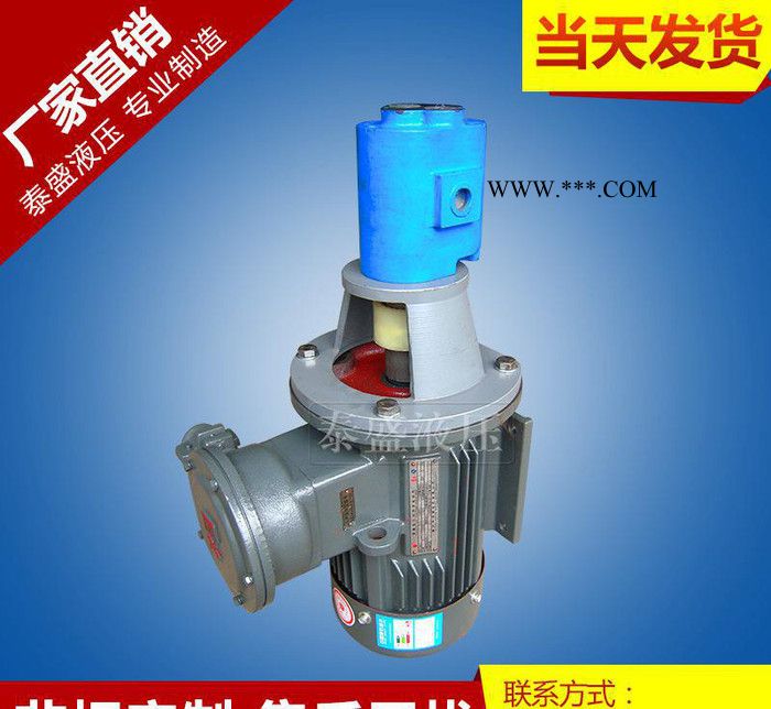 **CB-B20JZ齿轮油泵 齿轮油泵 泰兴压齿轮泵图2