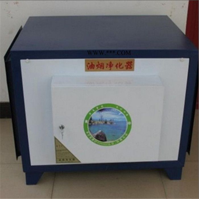 风机油烟净化器 山东新博图6