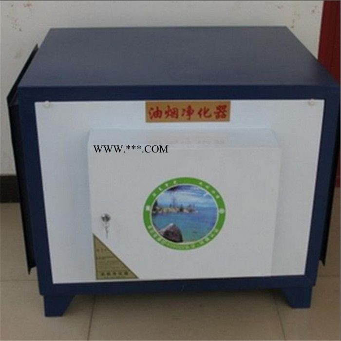 风机油烟净化器 山东新博图2