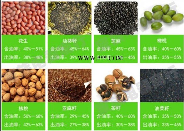 茶籽榨油机油菜籽榨油机  全自动螺旋榨油机液压榨油机榨油机图3