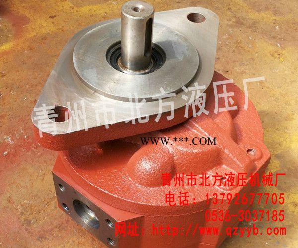 供应渔船专用齿轮油泵|供应高压齿轮油泵供应商图2