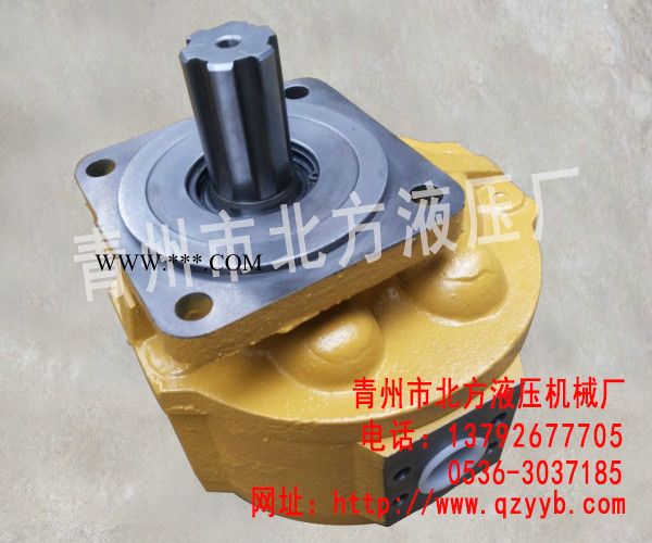 供应渔船专用齿轮油泵|供应高压齿轮油泵供应商图3