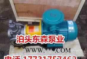 KCB83.3齿轮泵专业生产，KCB齿轮油泵图3