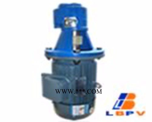 立式齿轮油泵生产商/立式齿轮油泵批发/良邦供应图2