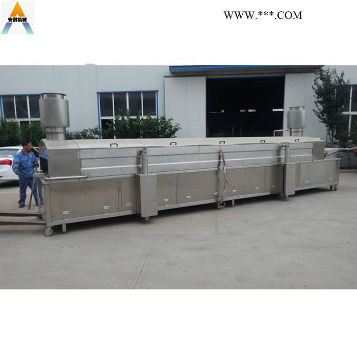 食品级裹粉花生油炸机   燃柴油油炸机 小油条油炸机 双层网带式油炸机油炸机厂家图6