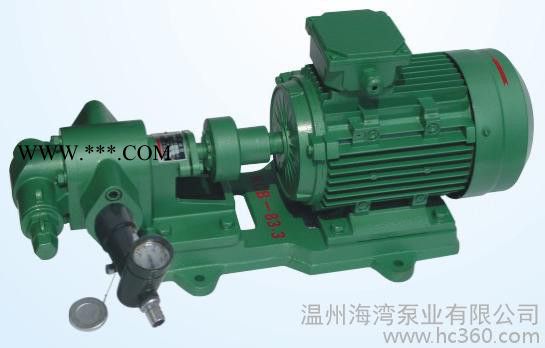 供应齿轮油泵KCB55供应各种齿轮油泵KCB/WCB图2