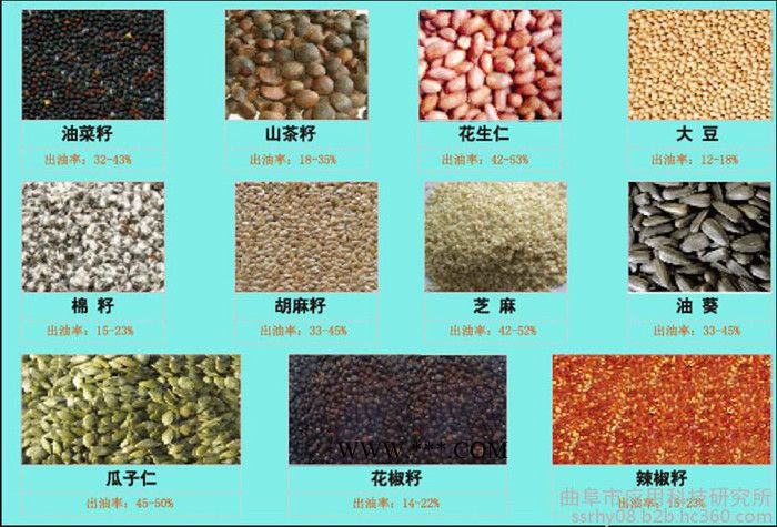 螺旋榨油机油菜籽榨油机大豆榨油机 山茶籽榨油机大豆压榨油机图7