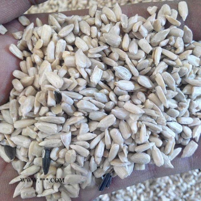 葵花脱壳机油葵剥壳机辽宁俏牌TFKH-1500型葵花籽脱壳机油葵脱壳机向日葵种子脱壳机图4