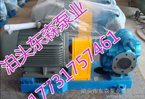 东森泵业 专业生产加工各型号齿轮油泵 不锈钢齿轮油泵 油渣泵图2