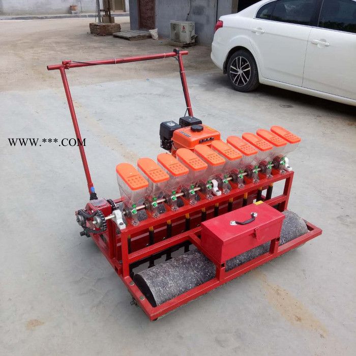 汽油芥菜精播机香菜播种机油菜菠菜精播机图6