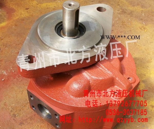 山东液压齿轮油泵|青州叉车齿轮油泵供应商图3