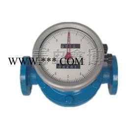 岳阳柴油机油椭圆齿轮流量计 青岛鑫博图2