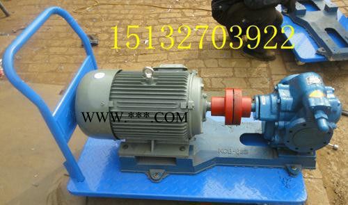 运鸿牌KCB-960移动式齿轮油泵图2