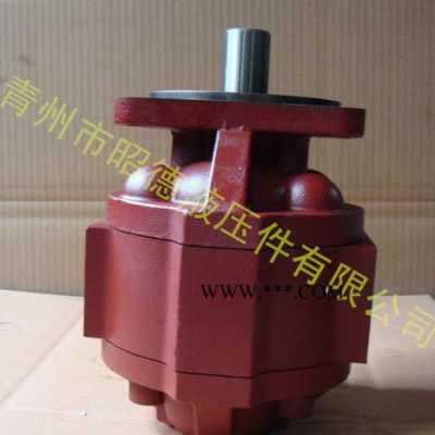 CBG2040 低压齿轮油泵液压泵件 齿轮油泵厂家液压泵