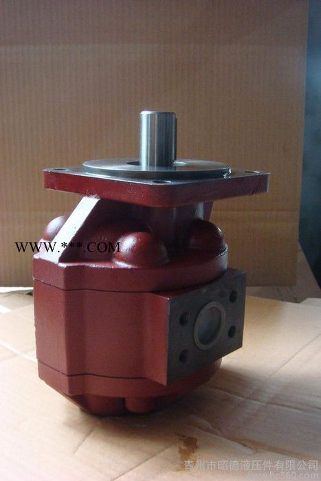 CBG2040 低压齿轮油泵液压泵件 齿轮油泵厂家液压泵图2