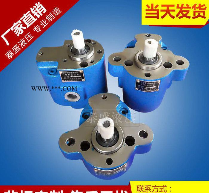 现货低压CB-B2.5齿轮油泵 CB-B2.5TH液压齿轮泵图3