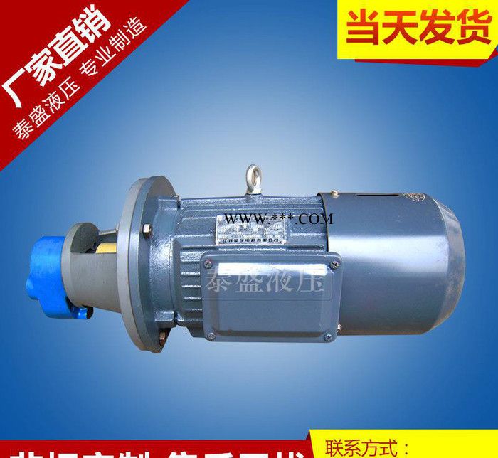 **小型LBZ-125 立式齿轮油泵电机组 焦油齿轮泵图2