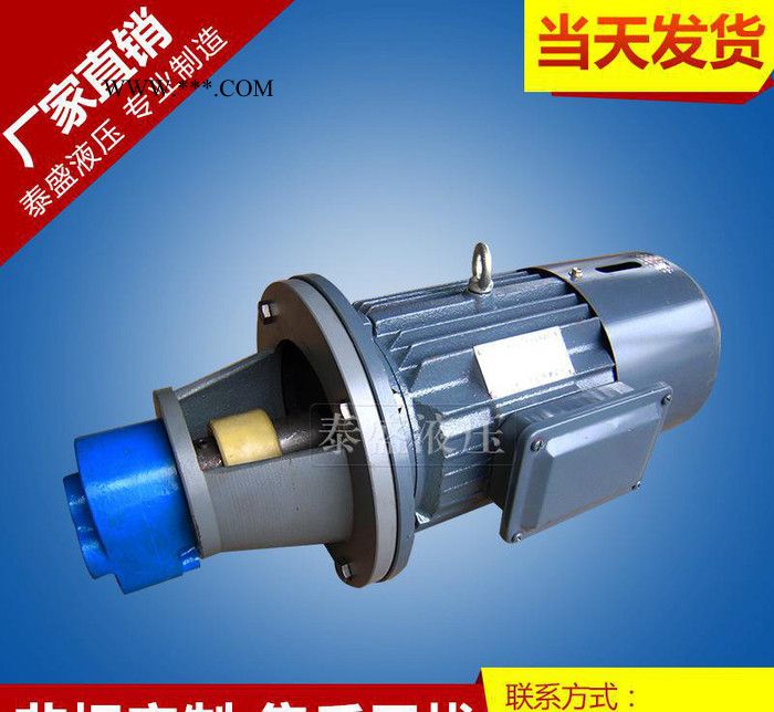 **小型LBZ-125 立式齿轮油泵电机组 焦油齿轮泵图3