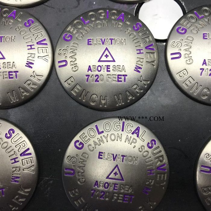 深圳新枝油漆点漆机视觉点漆机双色点漆机油墨滴漆机图5