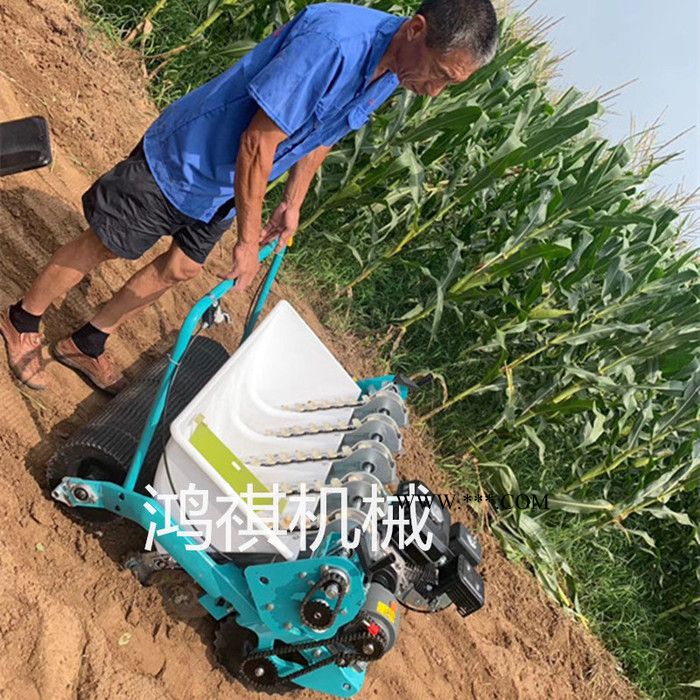 小型农机白菜播种机油菜籽播种机 大葱韭菜播种机图7