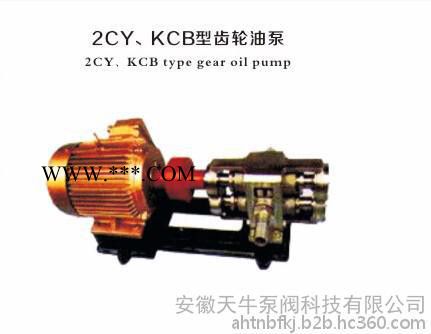 2CY、KCB型齿轮油泵图4