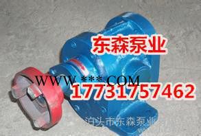 2CY4.2/2.5增压齿轮泵防爆整机,2CY增压齿轮油泵图3