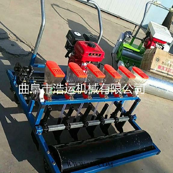 山东曲阜浩运机械多型号汽油蔬菜播种机 耐用省工高效率大棚蔬菜播种机油菜点播机图8