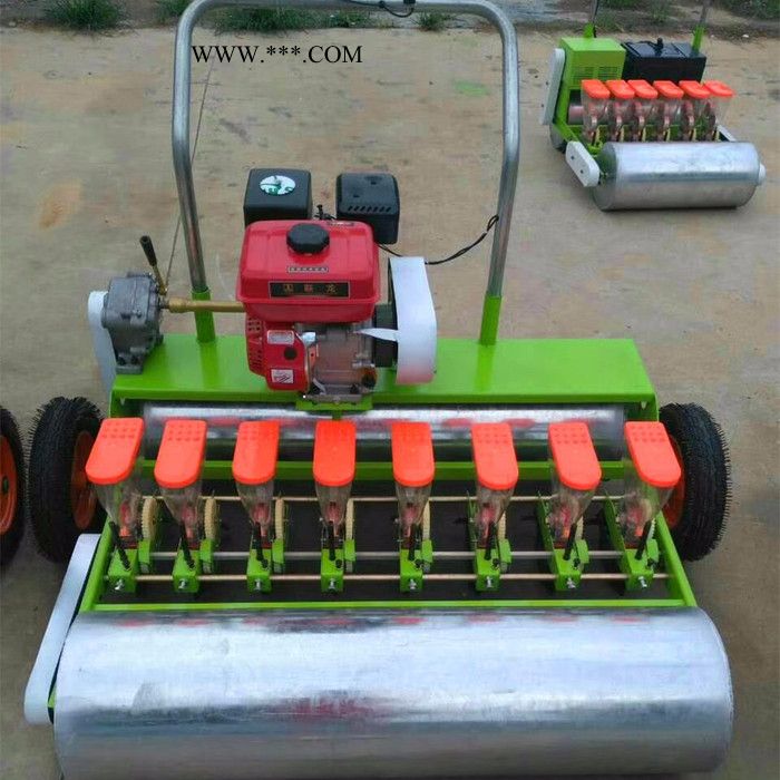山东曲阜浩运机械多型号汽油蔬菜播种机 耐用省工高效率大棚蔬菜播种机油菜点播机图7