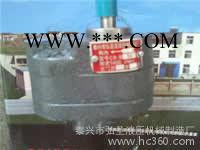 供应弘液XCB-B10齿轮油泵图2