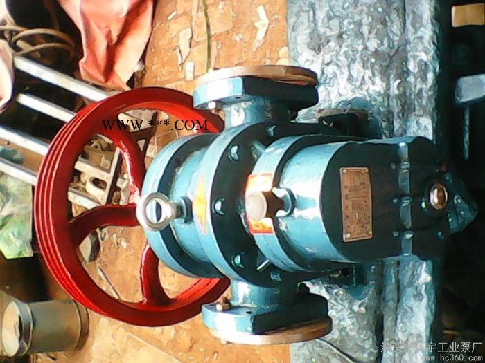 供应烁宇LC--10/1.6齿轮油泵图2