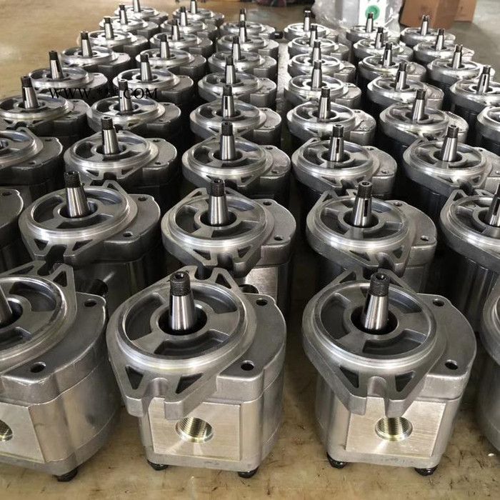 温纳 齿轮油泵 ** 品质保证图2