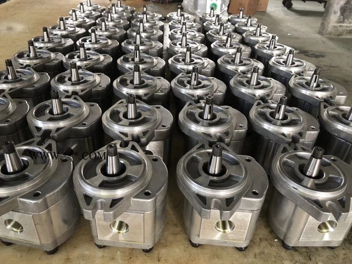 温纳 齿轮油泵 ** 品质保证图4