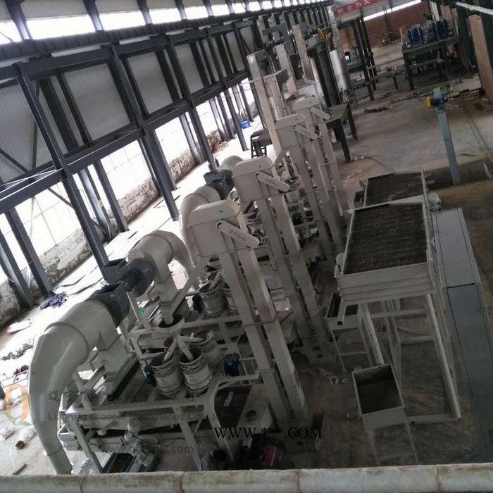 厂家供应高效油用牡丹籽脱壳机牡丹籽剥壳机凤丹牡丹脱壳机油牡丹脱壳设备俏牌TFMDZ-300图6