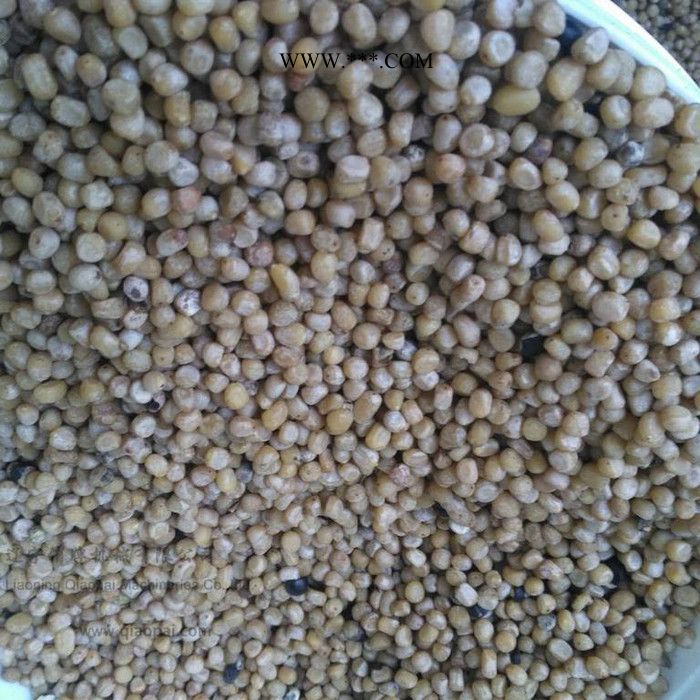 厂家供应高效油用牡丹籽脱壳机牡丹籽剥壳机凤丹牡丹脱壳机油牡丹脱壳设备俏牌TFMDZ-300图7