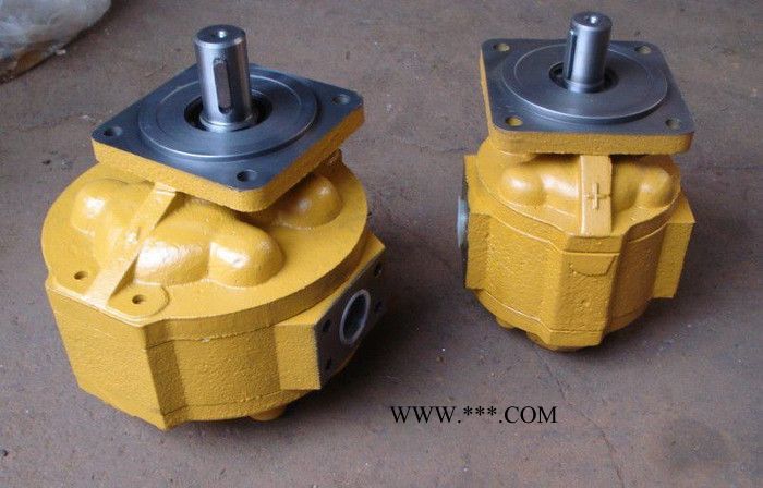 青州渔船专用齿轮油泵,山东液压齿轮油泵，请来北方液压厂 双联齿轮油泵图2