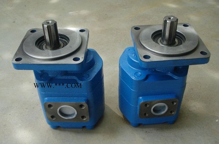 青州渔船专用齿轮油泵,山东液压齿轮油泵，请来北方液压厂 双联齿轮油泵图3