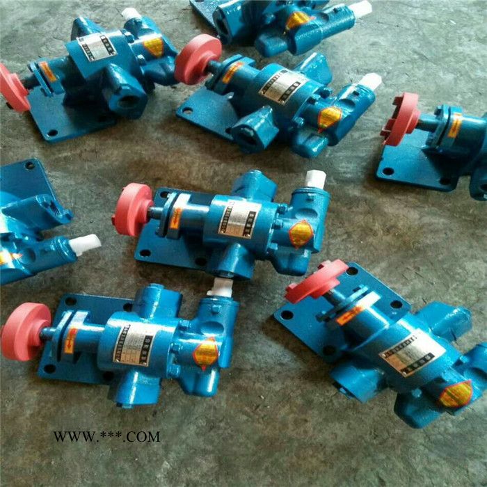 直销 KCB型齿轮油泵 润滑燃油泵KCB-300图2