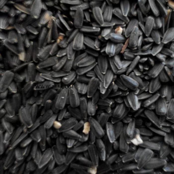 俏牌TFKH-600 小型葵花脱壳机油葵脱壳机榨油葵花脱壳机葵花剥壳机图3