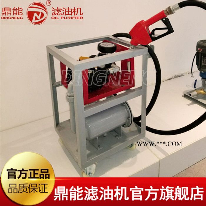 现货供应鼎能YTD系列油液计量过滤加油机 YTD40型过滤加油机 柴油机油计量一体加油机 **户外车载加油机图2
