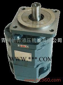 供应长青CQCBG2CBJ齿轮油泵图3
