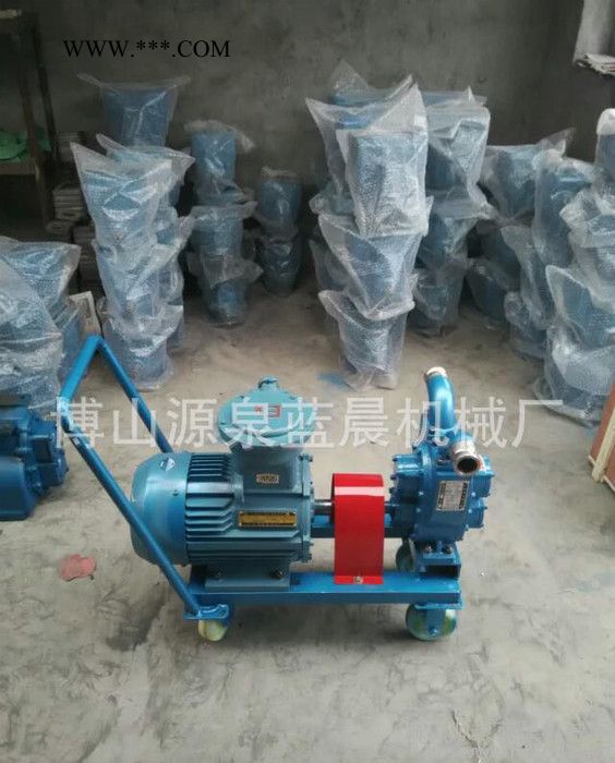 直销YHCB圆弧齿轮油泵图2