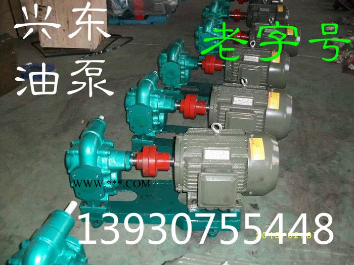 供应泊兴东KCB-200 老工艺齿轮油泵图3
