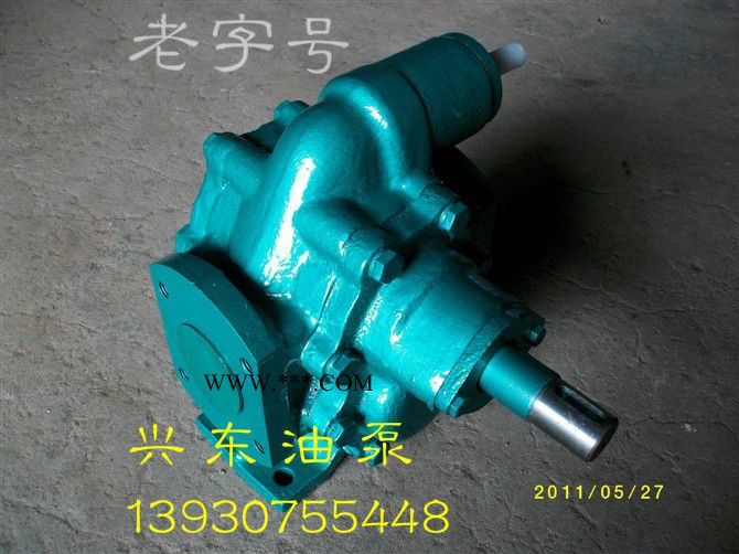 供应泊兴东KCB-200 老工艺齿轮油泵图2