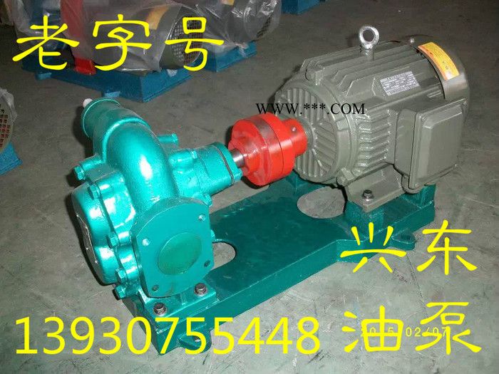供应泊兴东KCB-200 老工艺齿轮油泵