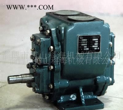 圆弧齿轮油泵淄博科海公司图3